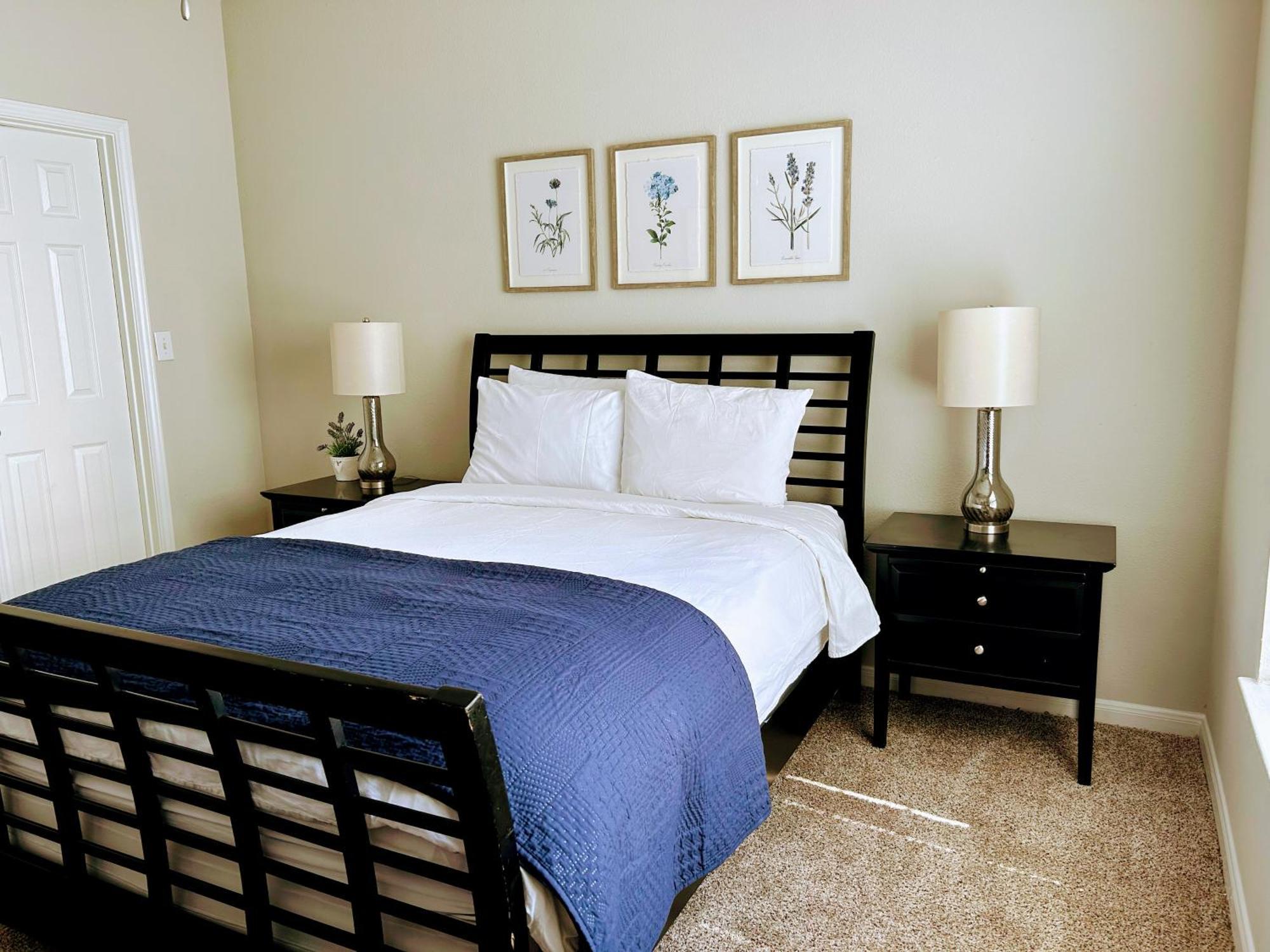 Hidden Gem At Med Center 2Br & 2Ba Apartment Houston Dış mekan fotoğraf