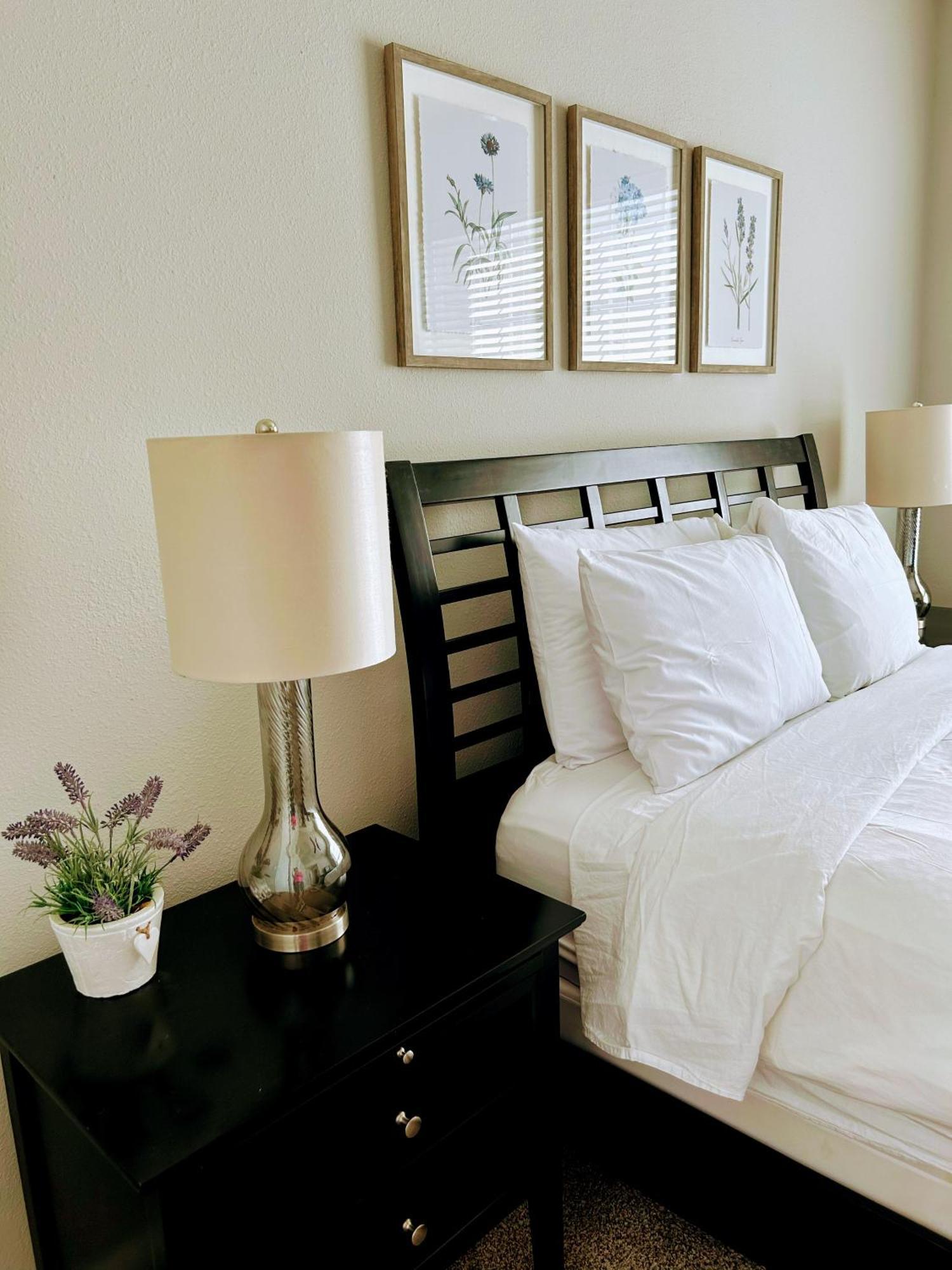 Hidden Gem At Med Center 2Br & 2Ba Apartment Houston Dış mekan fotoğraf